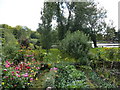 Gardens bordering the River Derwent, Belper