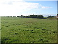 Farmland near Brunthall