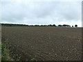 Farmland near Brownhill