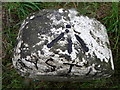 Rivet bench mark, Pont Creuddyn