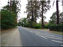 TQ0561 : Parvis Road, West Byfleet by Stacey Harris
