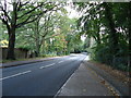 Old Woking Road, Pyrford