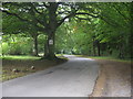 Charlton Drive-the road to the Downs School