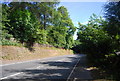 Hindhead Rd (A287)