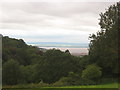 Grazing meadow with fine views to Priors Wood , the Bristol Channel and Wales beyond