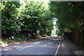 Hindhead Rd (A287)