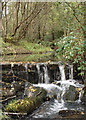 Nant-y-gedd at Parc Slip Nature Park