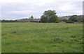 Field, shed and trees by Bridgwater Road