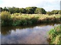 Afon Rhyd-hir below Pont y Garreg-fychan