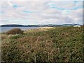 Sand dune belt west of Marian-y-mor