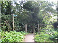 Public footpath at Upper Torrs