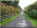 Road from Maureen Terrace