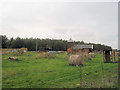 Paintballing area at Rednal Airfield