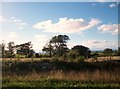 View west from the A499