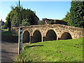 Packhorse Bridge, Dowlish Wake