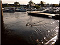 Balloch: the marina from across the Leven