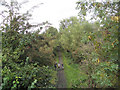 Dismembered railway line at Pensnett