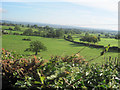 View from Rock Cottage Bulthy