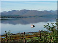 Boat on Loch Eil