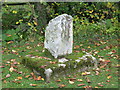 NY9068 : Old cross south of Walwick Grange by Mike Quinn