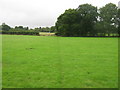 Footpath to Bourne Wood