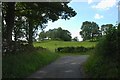 Footpath near Llandegla