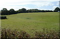 Grazing land adjacent to Usk Road