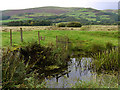 SH6205 : Drainage ditch and rough pasture, Dyffryn Dysynni by Nigel Brown