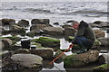 Charmouth : Rock Pools