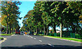 Scarisbrick New Road (A570), Southport