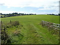 Field on the west side of Usk Road