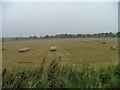 Straw bales at Nether Durdie