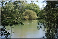 Roaden Island lake, Leybourne Lakes Country Park