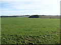 Farmland near Oldtown Farm