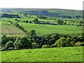 View across West Allendale