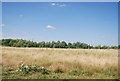 TQ7060 : Grassland, Leybourne Lakes Country Park by N Chadwick