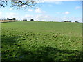 Farmland near Dumbmill Cottage