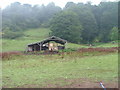 Stable at Craigdallie