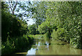 The Ashby Canal near Higham on the Hill, Leicestershire