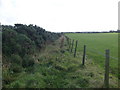 Disused farm track, Cairnbanno