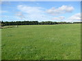 Farmland near Lescraigie