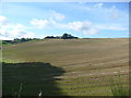 Farmland near Woodtown