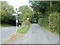 The road to Llandenny from Coldharbour