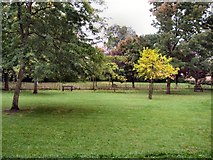 TQ4109 : Southover Grange Gardens by Paul Gillett