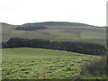 Pastures and woodland north of Bridge End