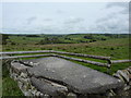 Milk churn platform