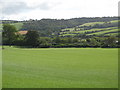 Pastures and woodland east of West Mill Hills (2)