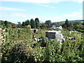 Factory Lane allotments, Usk