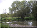 Roman River, Colchester