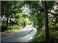 King Lane towards Alwoodley Park